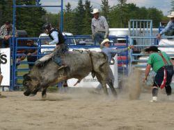 Rodeo action 2013