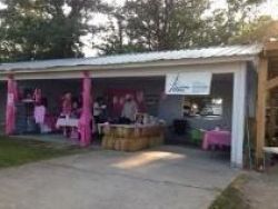 Trading Post with Helping Hooves and Helping Hands raising funds.