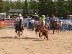 Rodeo action 2013
